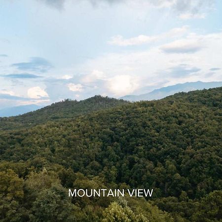 Villa The Moosewood In Treehouse Grove At Norton Creek Gatlinburg Exterior foto