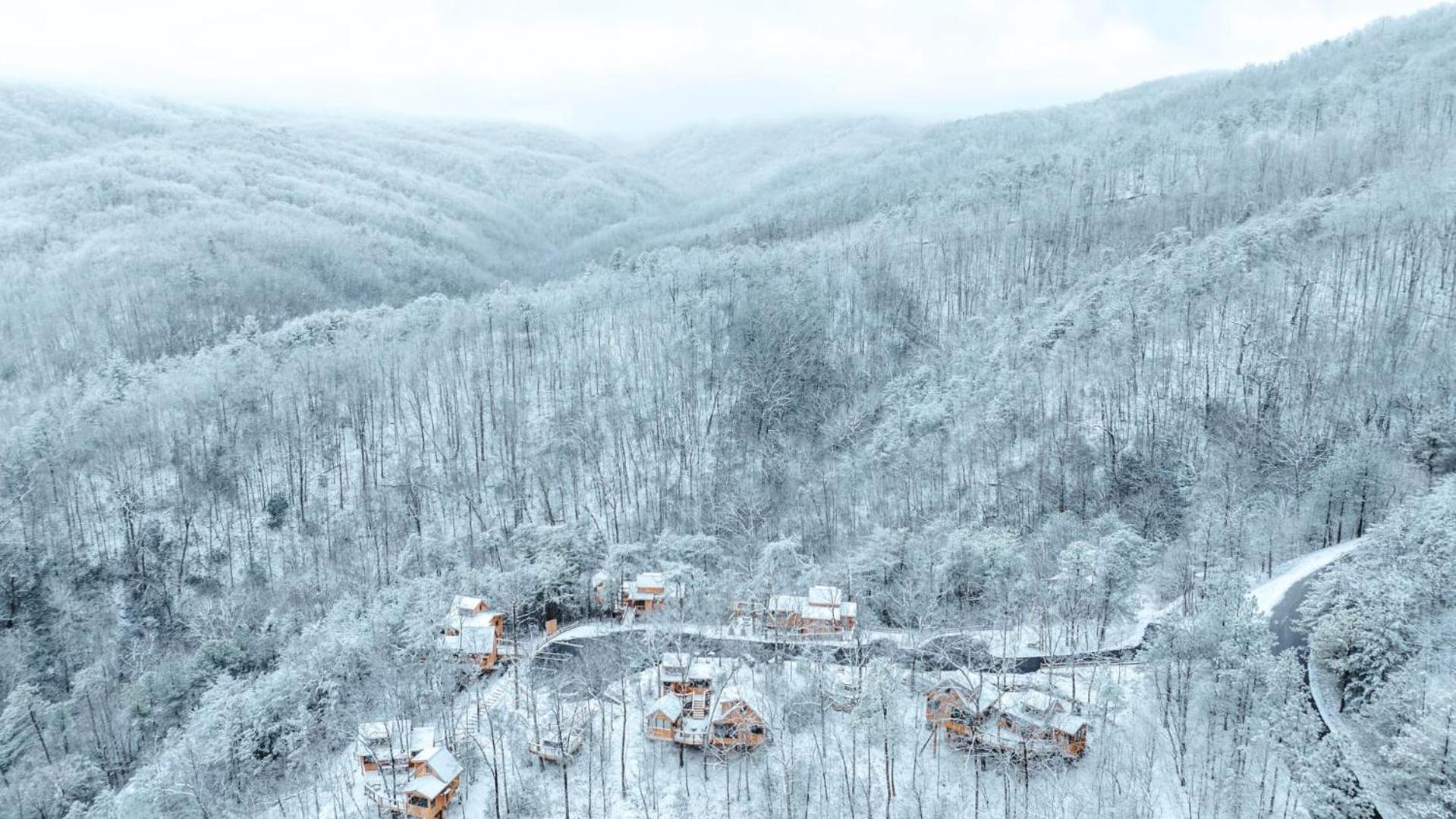 Villa The Moosewood In Treehouse Grove At Norton Creek Gatlinburg Exterior foto